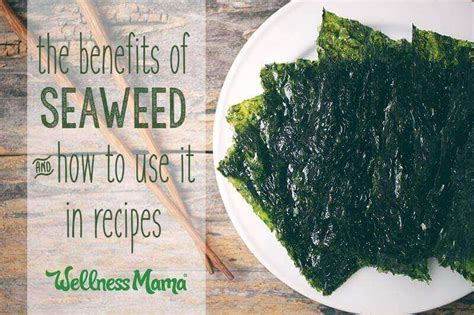 does seaweed have omega 3|is seaweed easy to digest.